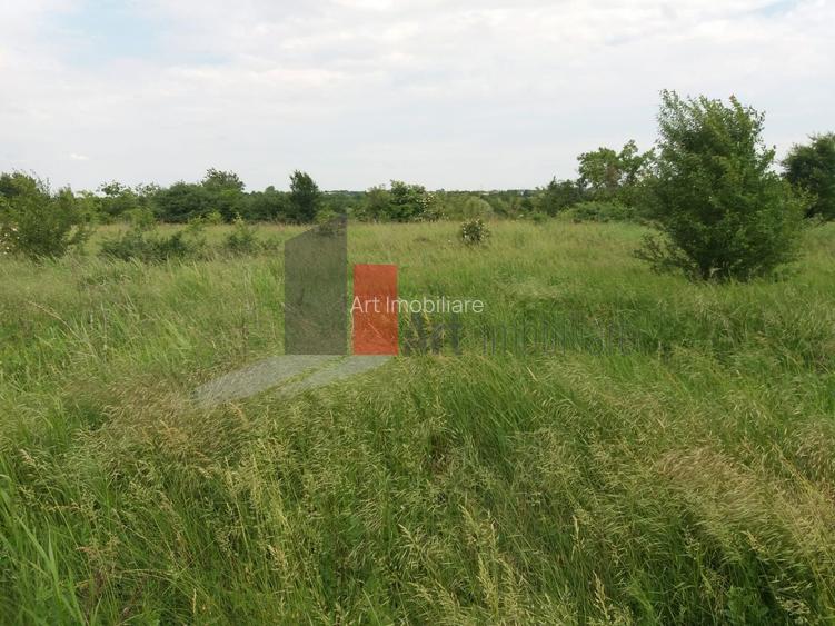 Teren Buftea cu iesire la lac - 19