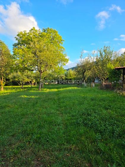 Teren 2500 mp – POTENȚIAL BUSINESS / DEZVOLTARE – Breaza - 9