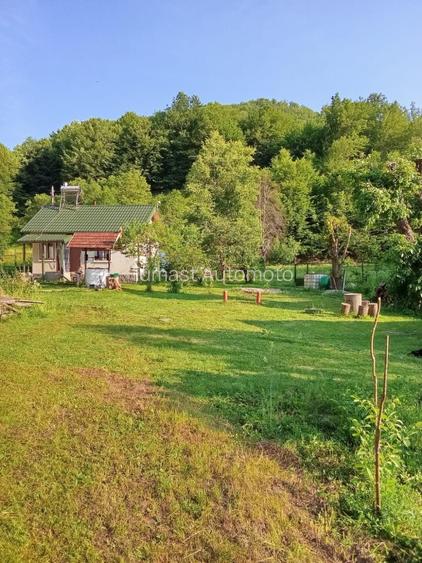 Casa, teren si padure de vanzare-40.000 mp, direct proprietar in Apuseni. - 3