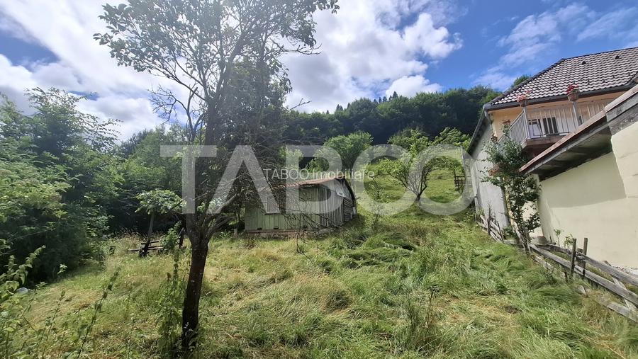 Teren 2500 mp Curmatura Rasinari 40 m deschidere la drum asfaltat - 5