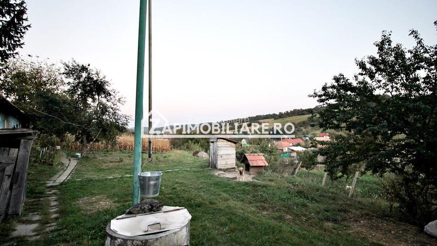 De vanzare 2 case cu 4.900 mp teren, Livezeni 0% comision - 12