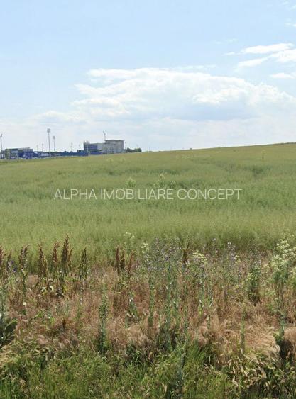 Academia Gheorghe Hagi 40.000 mp teren intravilan - 3