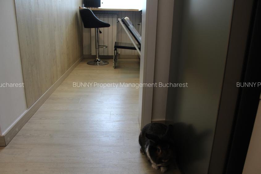 Hop Into Your New Home – 2-Room Apartment with Bubu & Babu! - 20