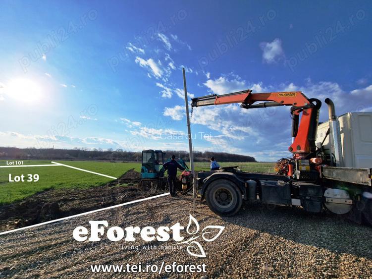 Terenuri intravilane în Crevedia – cartier rezidențial nou lângă 2 păduri - 5