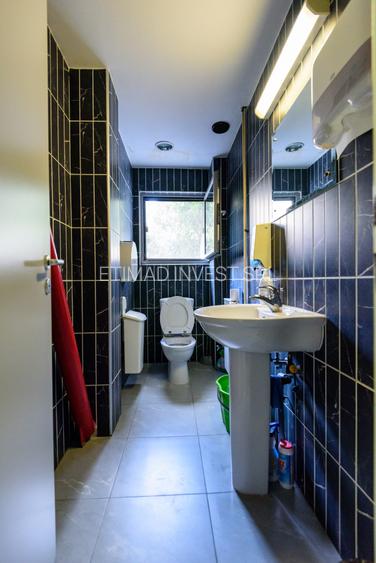 Cladire birouri/afacere - Primaverii - 10