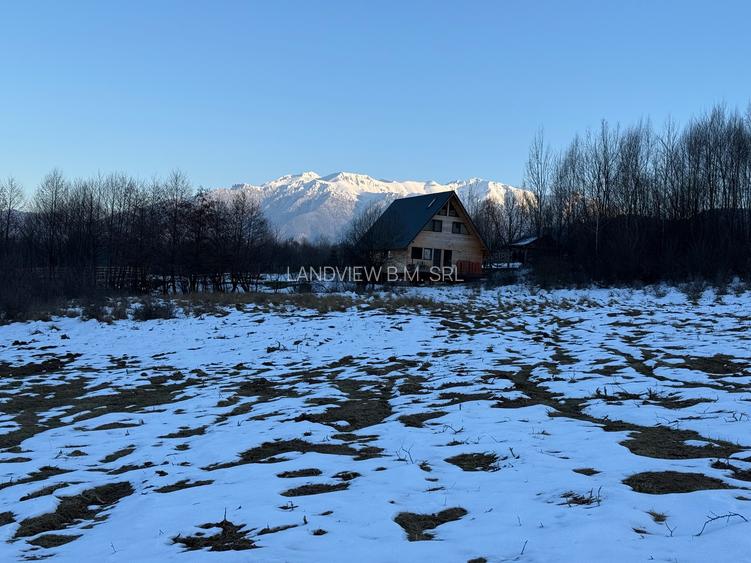 Teren intravilan 500 mp sau 1000 mp în Bran –Tohanita cu parau langa - 11