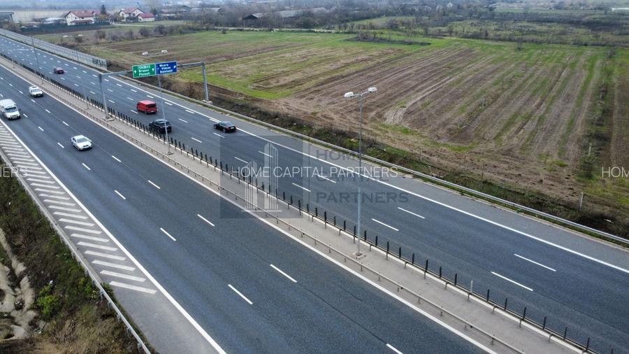 Teren 2727mp | Moara Vlasiei, Caciulati | A3 - 3