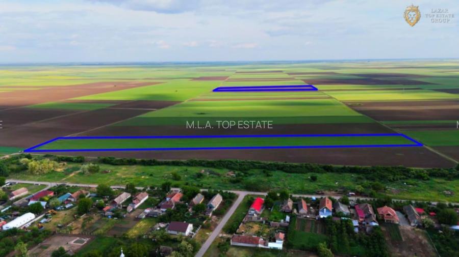 Teren cu potential 6,9 ha in Munar - 5