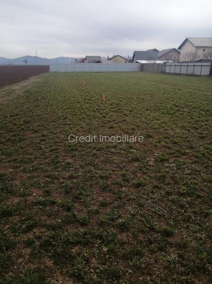 Teren de vanzare Harman - 2