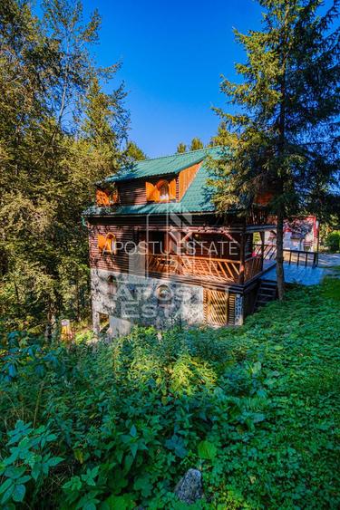 Pensiune, casa de vacanta, 6 camere, statiunea Rausor din Hunedoara - 19