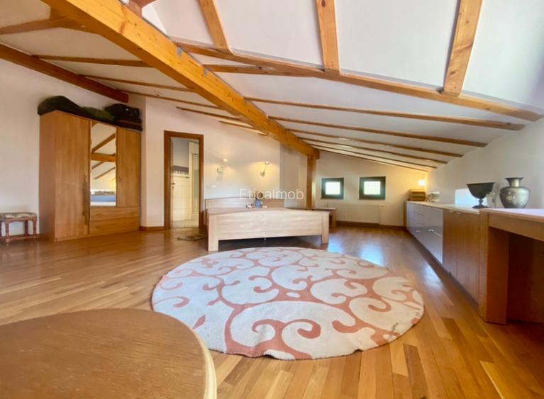 Vila de lux lângă Curtea Domnească – investiție premium Târgoviște, teren 1.700 - 57