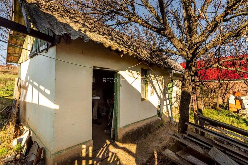 RECO. CASA LA ROSU , CETARIU - 12