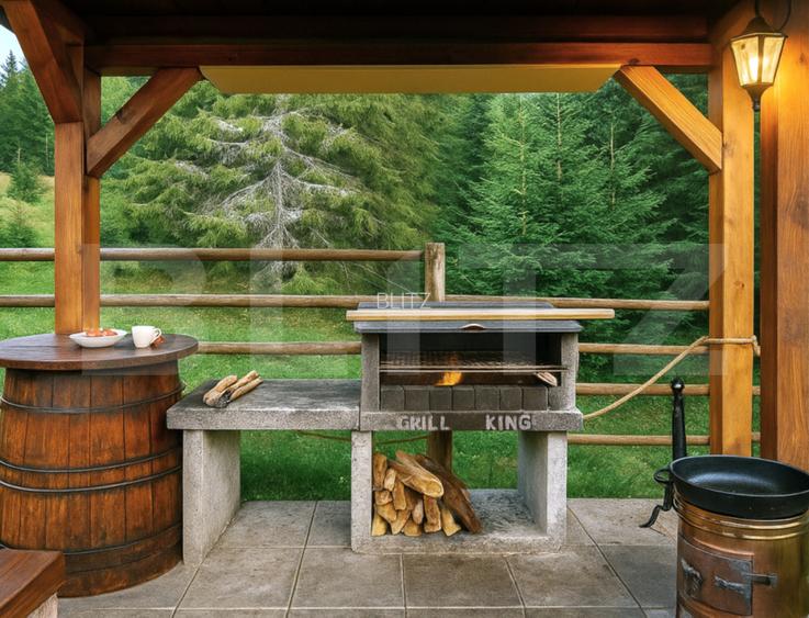 Afacere la cheie pensiune complet utilata si mobilata,energie verde, natura pura - 4