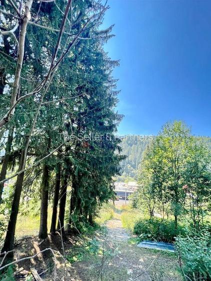 Teren Intravilan Predeal - Acces direct DN - Priveliste deosebita - 4