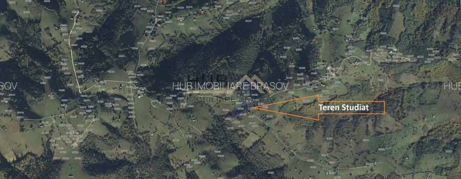Teren Moieciu zona Pestera cu PUZ si utilitati | 4.649mp - 5