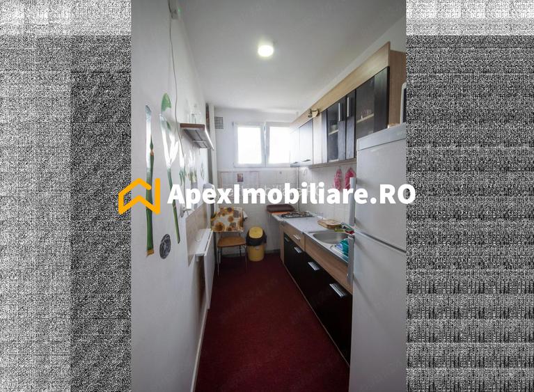 Apartament 1 camere de inchiriat Lacul Tei București | ApexImobiliare.ro - 7