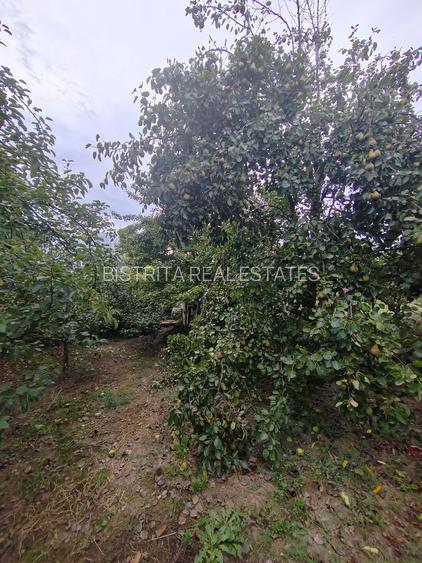 casa - 24 ari de teren - Valea Ghinzii - 9