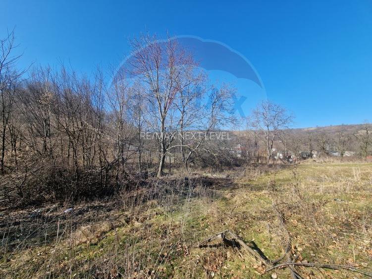 Teren de Vânzare în Pâncești (Sascut) - 2