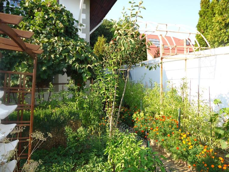 Vila piscina superba gradina matura cu iesire directa la padure