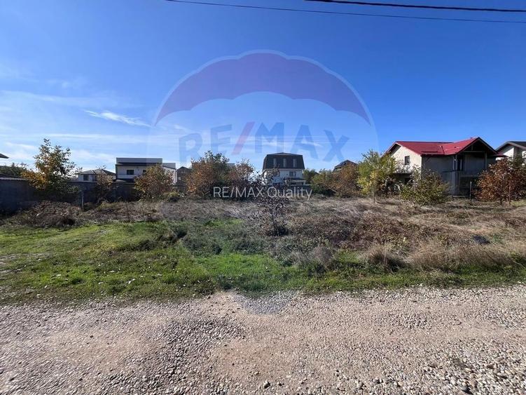 Teren 912mp de vanzare in Berceni / Strada Zanelor (2 loturi) - 4