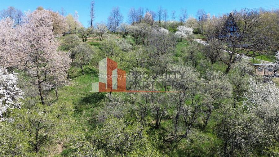 Teren 2500 mp Sohodol - 8