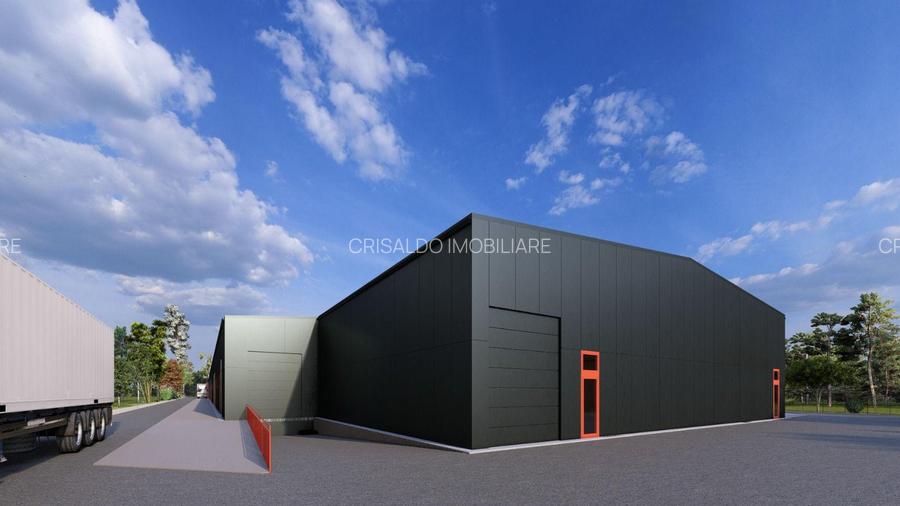 Proiect Nou Buftea - Rasaritului - 2