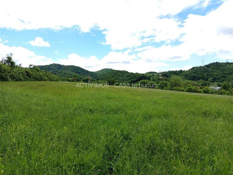 Borlovenii Noi, Teren Drept, 16000mp, la Limita Localitatii - 11