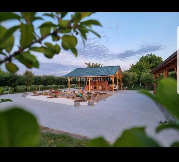 Vând teren cu potential  - 6