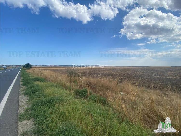 Teren extravilan in Mihail Kogalniceanu, Constanta - 2