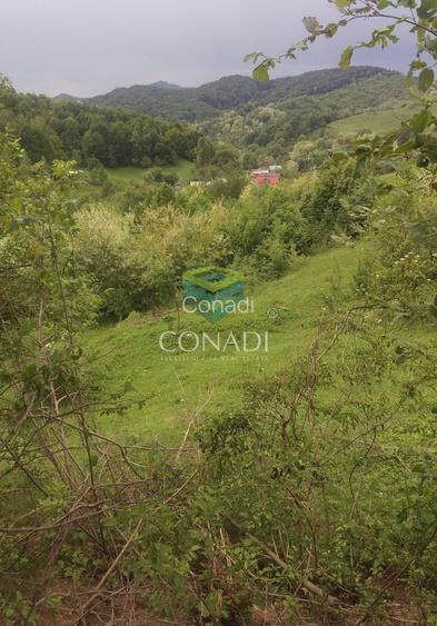 Teren Breaza  800mp pe colina priveliste superba - 7