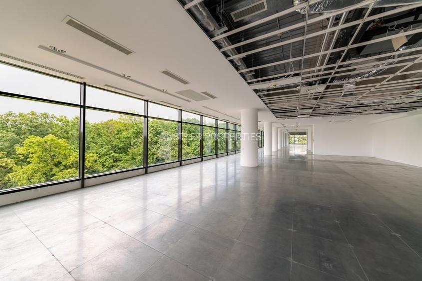 Inchiriere spatiu showroom in Platinum Business & Convention Center - Baneasa - 4