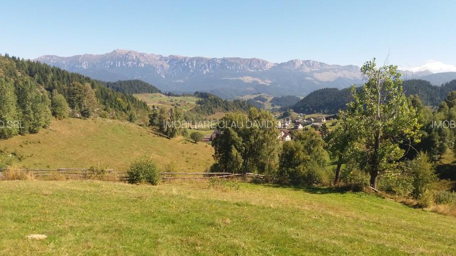 TEREN EXTRAVILAN SAT FUNDATA - 8