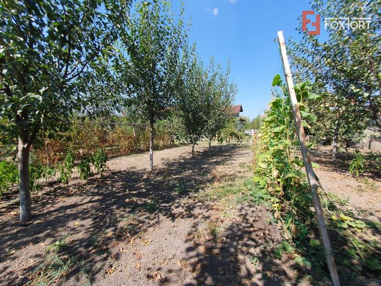 COMISION 0% Casa individuala cu 5 camere si teren de 1222 mp, Jebel - 54