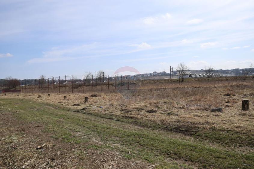 Teren 2,900mp Scheia / Strada Humorului