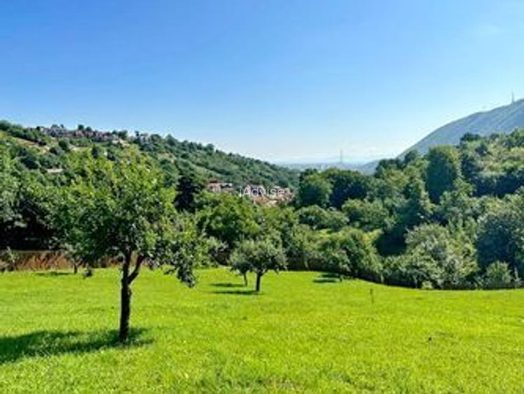 TEREN UNIC in Schei cu cabana - 8