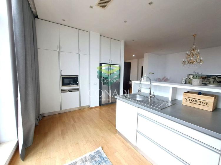 Baneasa-Iancu Nicolae, penthouse de inchiriat, mobilat si utilat - 7