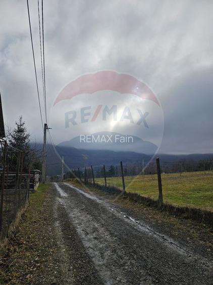 Teren  vanzare 1441 mp Cisnadioara strada Ciresilor - 4