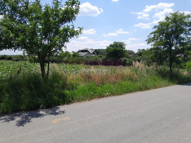 TEISORI /GR - 2 LOTURI LIPITE (TOT. 16500 MP) DE VZ 100K EUR NEG - 10