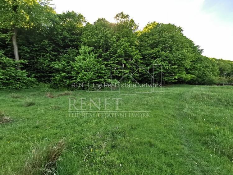 Oportunitate de Investiție - Teren de Basm in Bascov. DIRECT PROPRIETAR. - 8