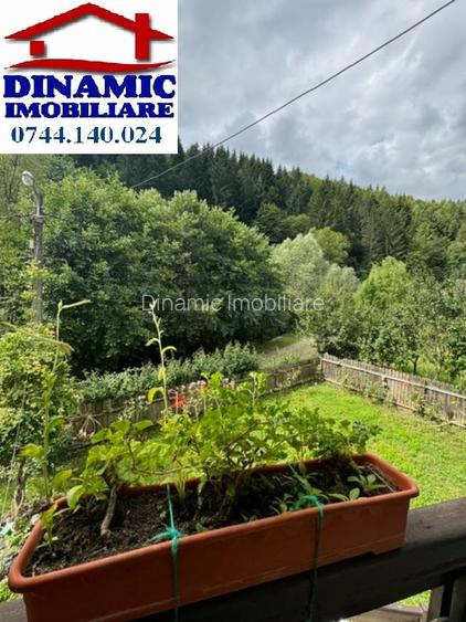 Casă, Bistrița, 1000 mp teren. Preț 590 eur/ lunar - 14