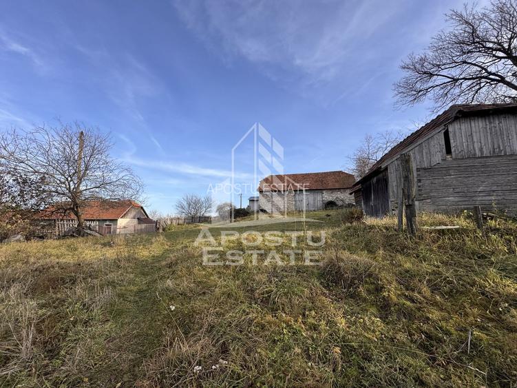 Casa batraneasca la munte, in Hunedoara, Tinutul Padurenilor, Cerbal - 6