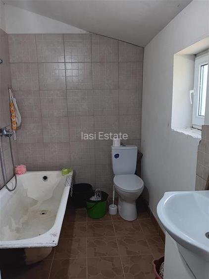 Badeni com Scobinti  Iasi Constructii 245mp Teren 4239mp intravilan dubla deschi - 9