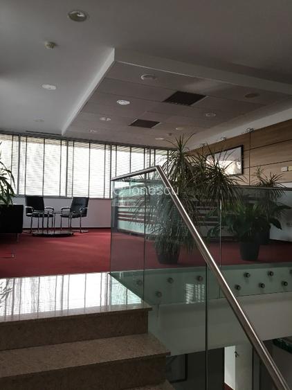 Birouri / Showroom / depozit, 1532 mp utili, aut. ISU, 2001 mp teren, proprietar - 16