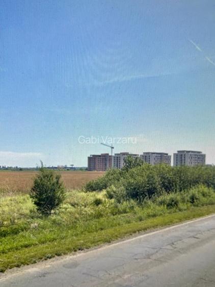 Teren Calea Torontalului/Aradului, PUZ ptr blocuri - 5