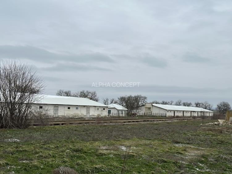 DEPOZIT CEREALE - CEAMURLIA DE JOS/STATIA CFR TVA INCLUS - 6