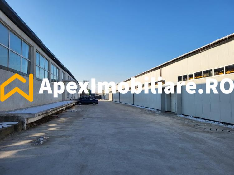 Hala Industriala Xenia – 1800 mp, Acces TIR, Parcare 50 Auto - 8