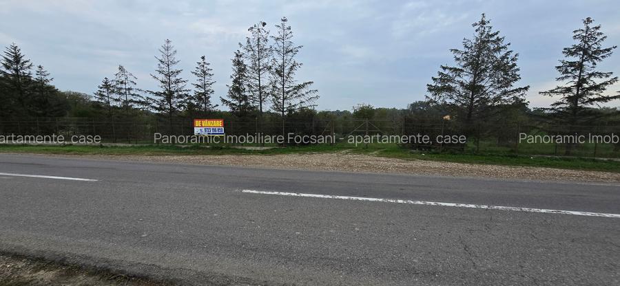 LIVADA  DE VANZARE FOCSANI-DUMBRAVITA  1,8  HA - 31