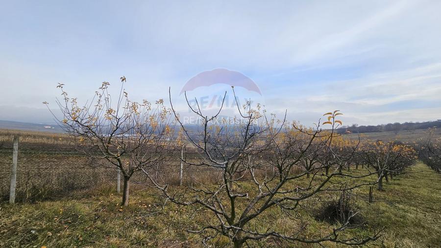 Teren extravilan 10,791mp Falticeni / Strada DJ209A, Opriseni - 8