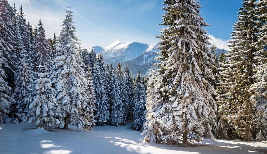 Apartamente Poiana Brasov Ski Chalet Mobilat Utilat Lux - 10