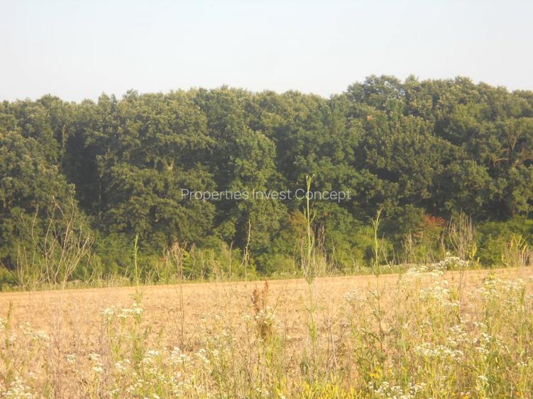 Loturi de casă în Samurcași - Pădurea Raioasă – zonă în plină Dezvoltare - 6